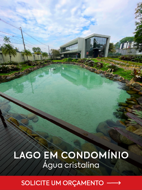 2 lago cond